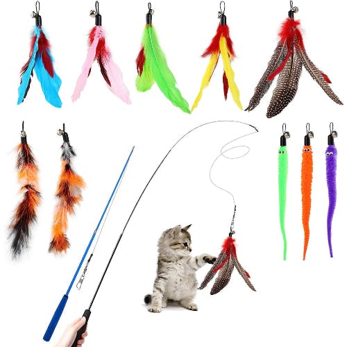 Best cat 2025 feather toy