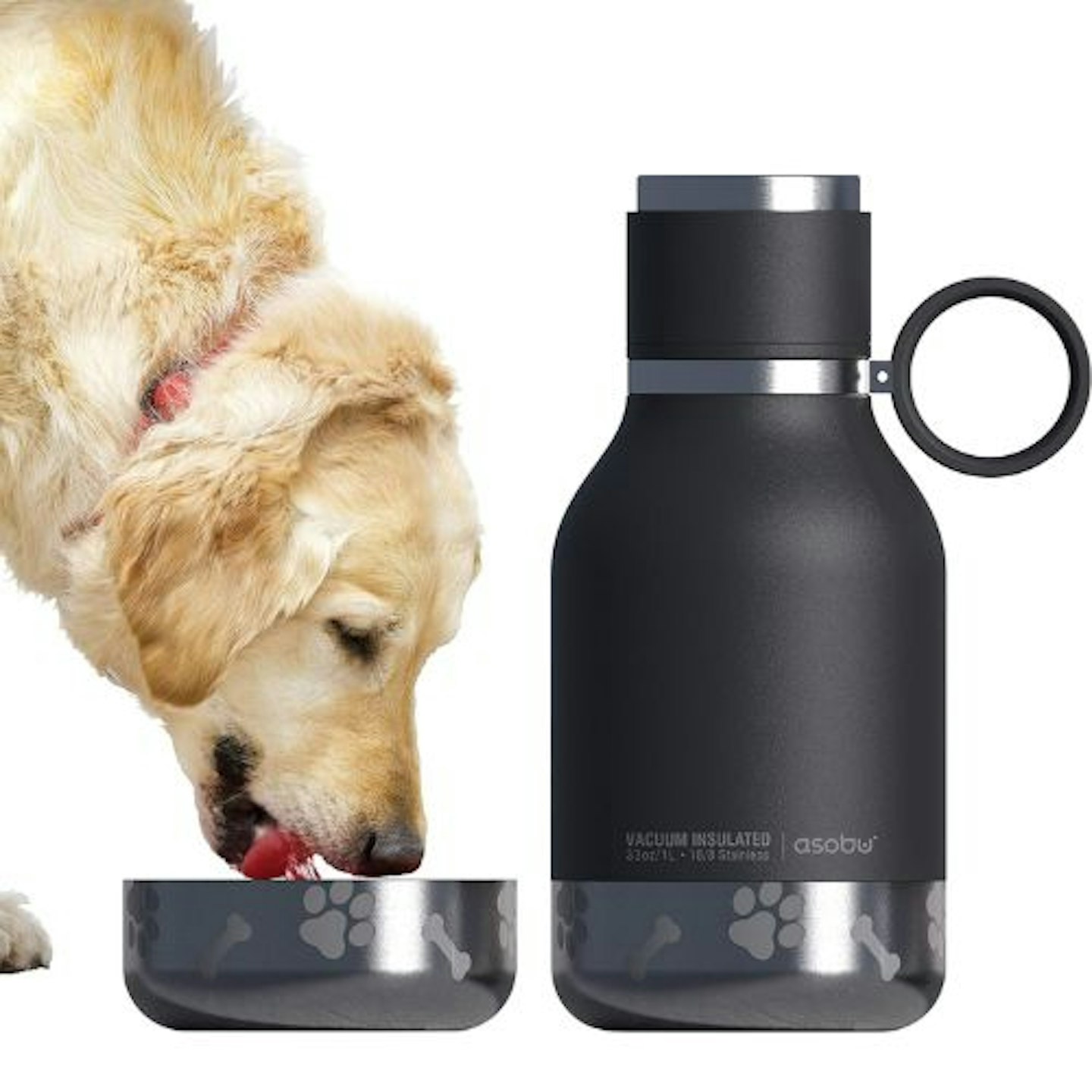 Absobu Dog Stainless Steel Insulated Water Bottle and Bowl