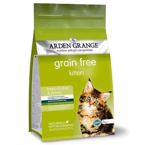 Best kitten food for 2024 bengals