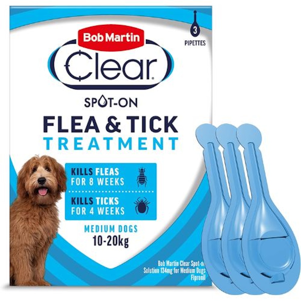 Curated visual reference: Fresh Look at Best Dog Tick Treatments To Manage And Prevent Infestations