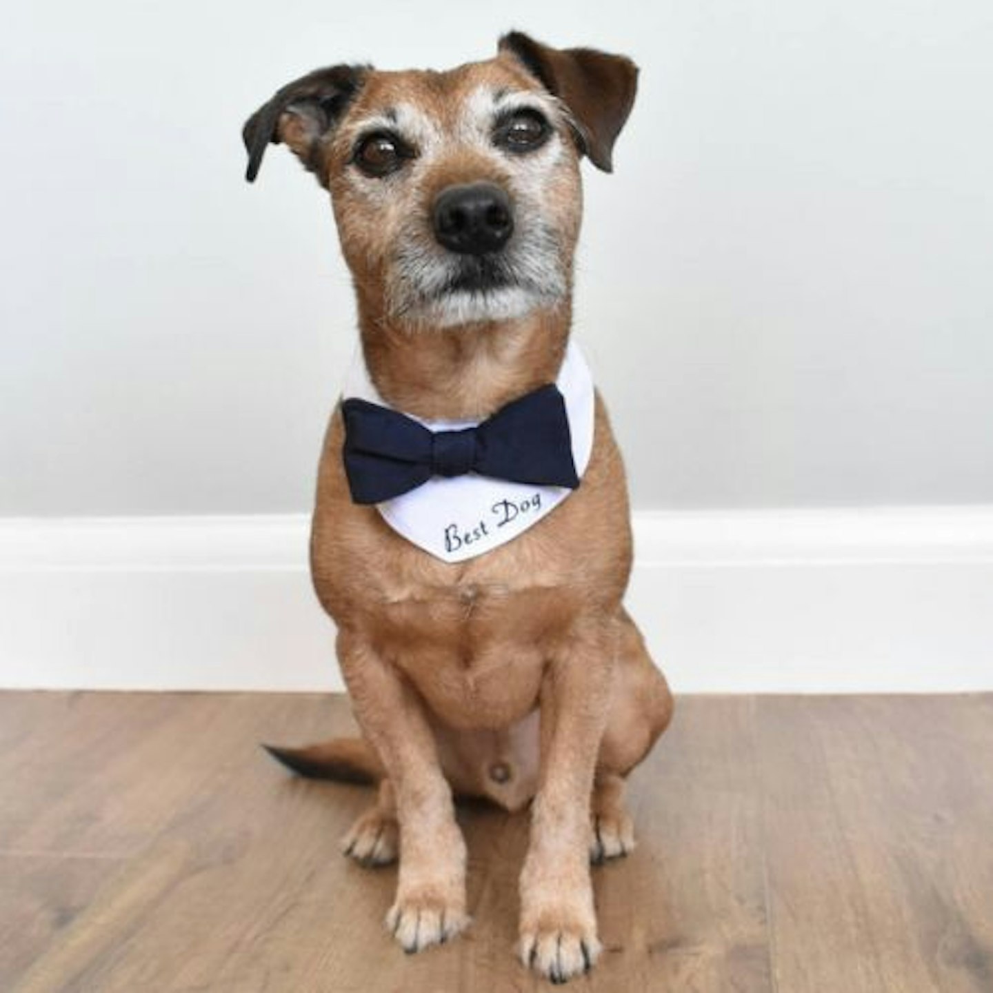 Giddings Gifts Personalised Bow Tie Dog Wedding Bandana