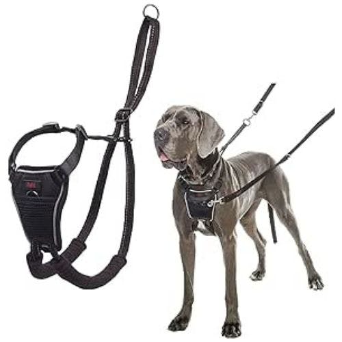 Best dog leash for dogs that pull best sale