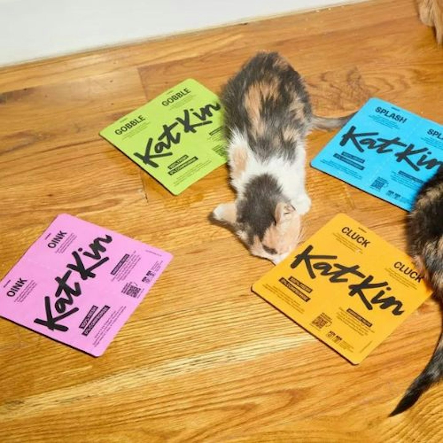 Katkin-Kittens