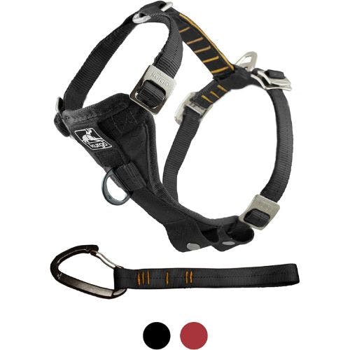 Best dog harness 2025 for the car