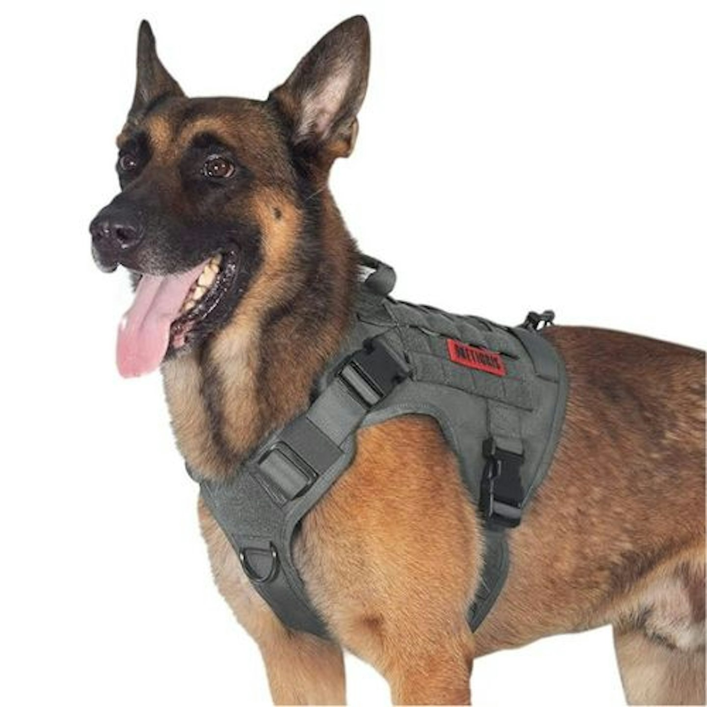OneTigris No Pull Harness for Dogs