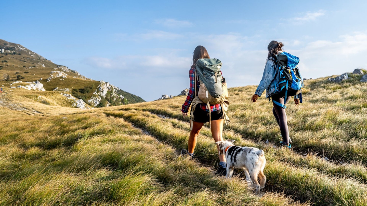 Rear view of young women hiking with dog on grassy land against cloudy sky.