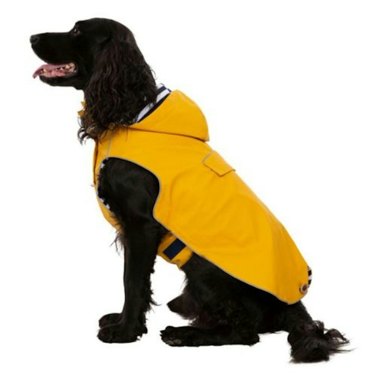Trespaws Waterproof Dog Coat