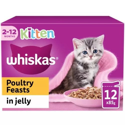 The best wet kitten food to help your cat grow 2024