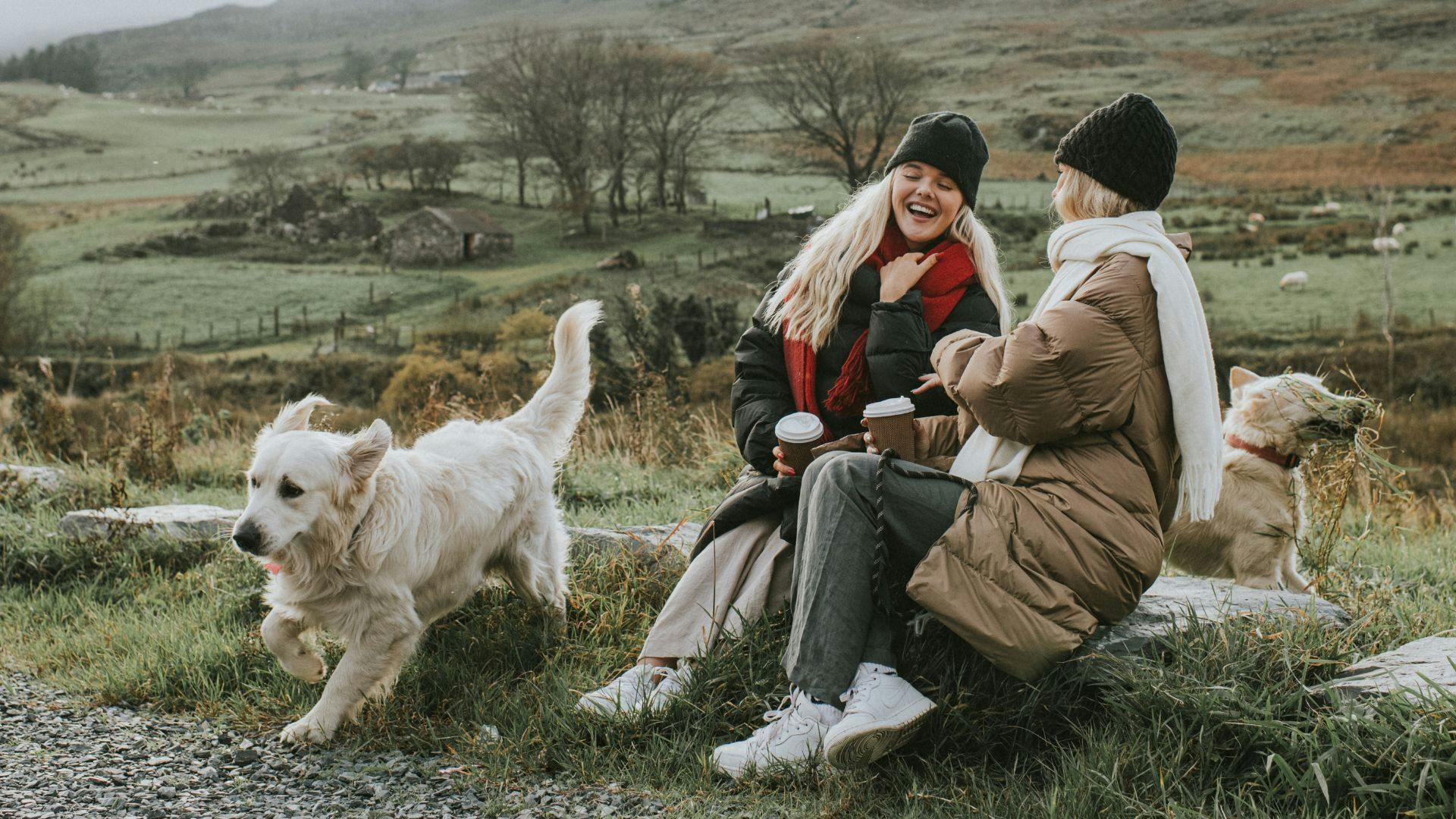 Best dog walking coat for keeping warm and dry on walkies