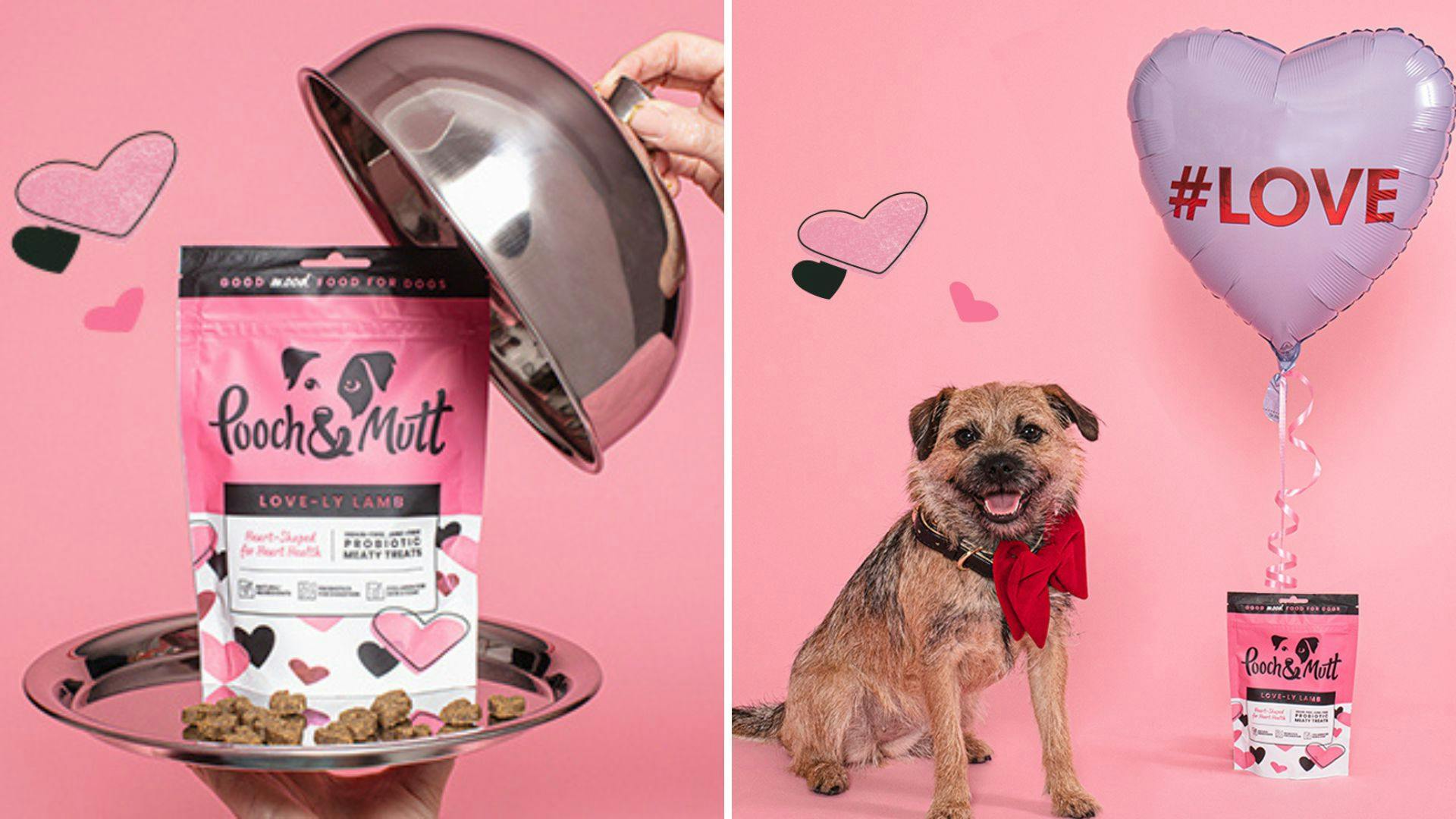 Spoil your dog with Pooch + Mutt Love-ly Lamb Meaty Treats - Vimarsana News