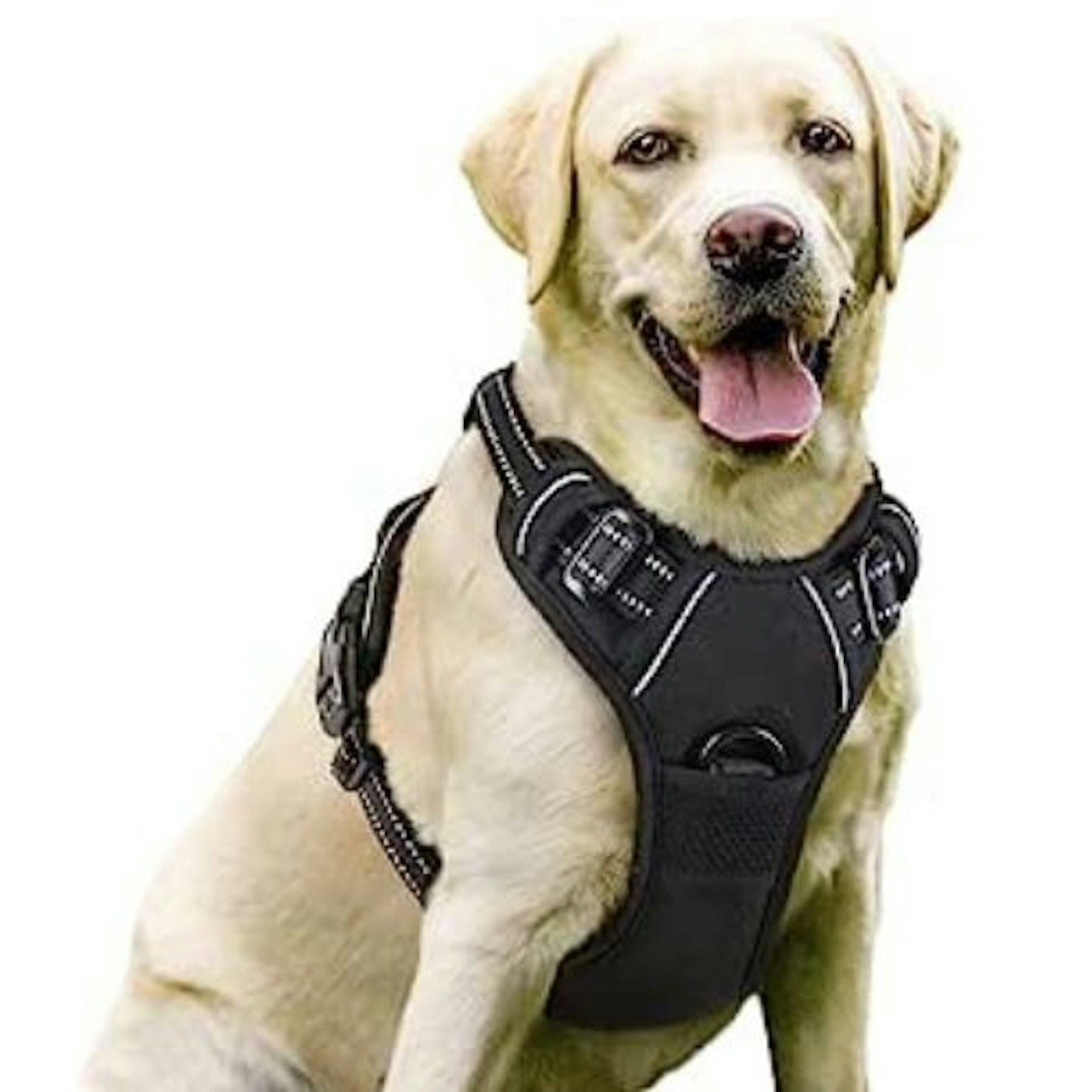 rabbitgoo Dog Harness Large