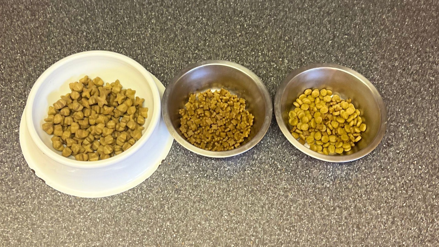 Royal Canin Dog Food reviews: dinner for three