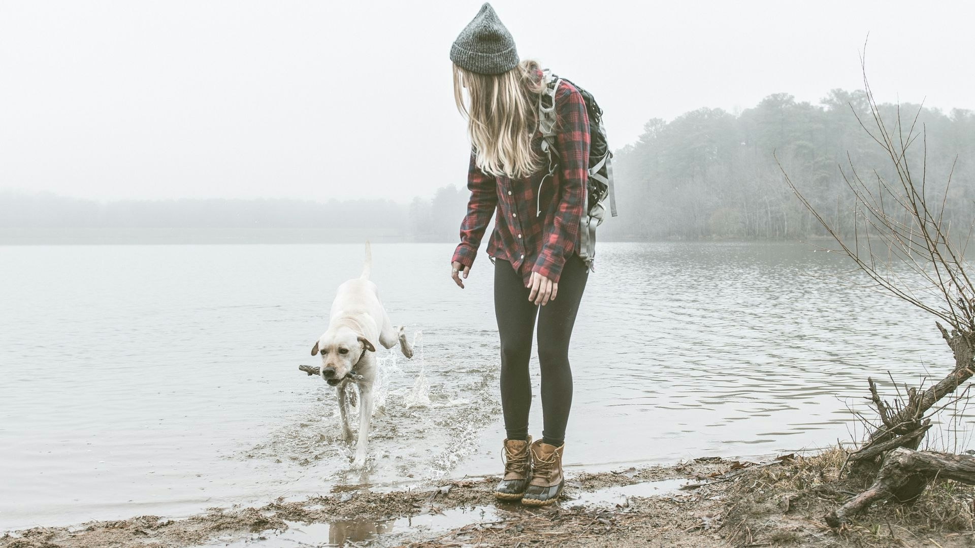 Waterproof dog walking boots to keep your feet dry