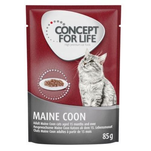 Best cat food for Maine Coons 2024