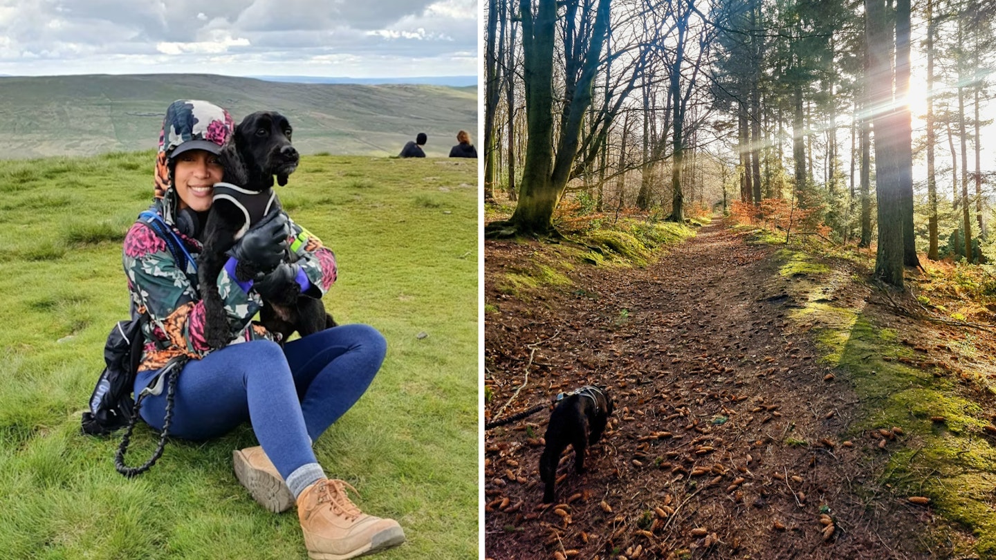 Forest Dog Friendly Trail Near Me Dog-Friendly Hikes In Maine · By