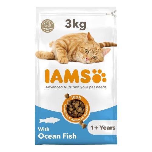 Best cat sale food without fish