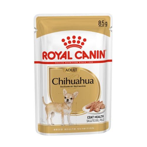 Best dog food for Chihuahua pups adults and seniors UK 2024