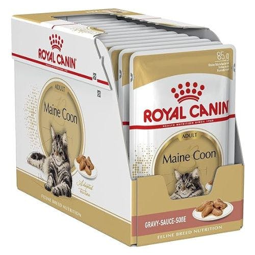 Best cat food for Maine Coons 2024