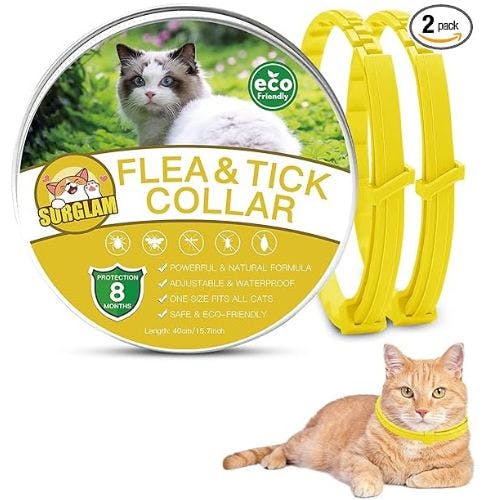 Best flea collars for cats 2024