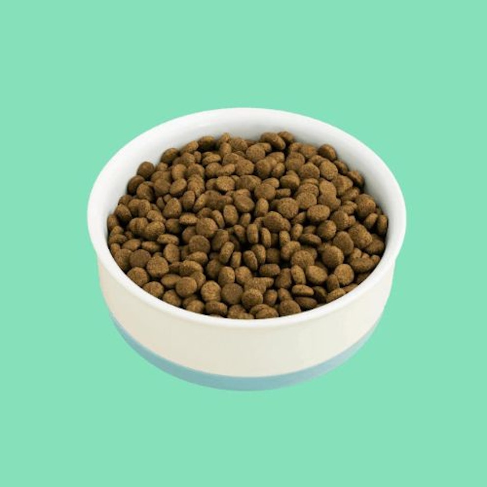 Best cat food for Maine Coons 2024