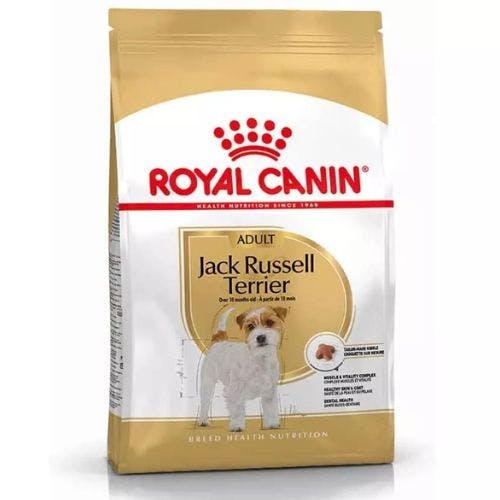 Best dog food for Jack Russell for healthy and well fed dogs