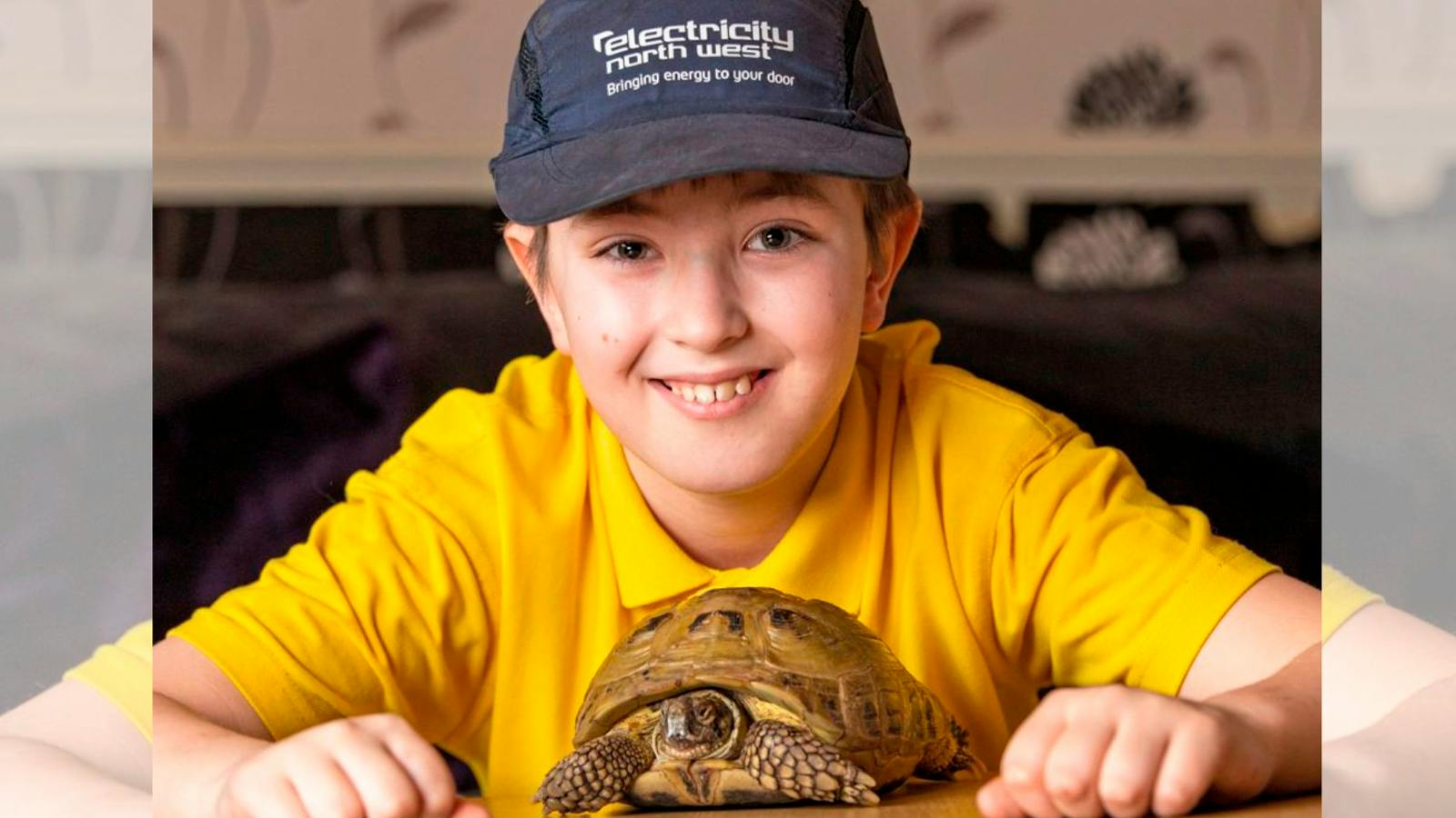 escaped tortoise