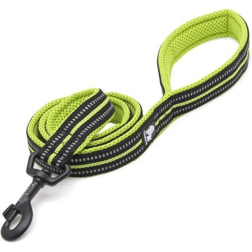 Best lead for a puppy to use on their first walk and beyond