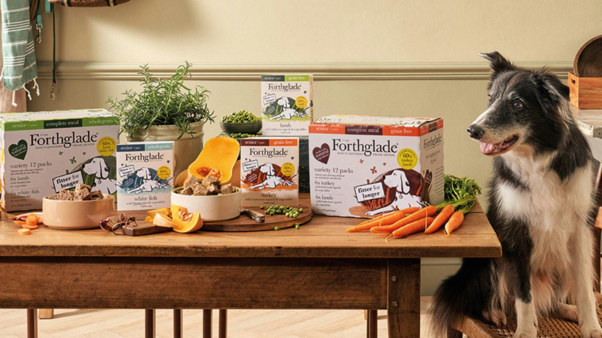 Feed your pooch the best with Forthglade dog food