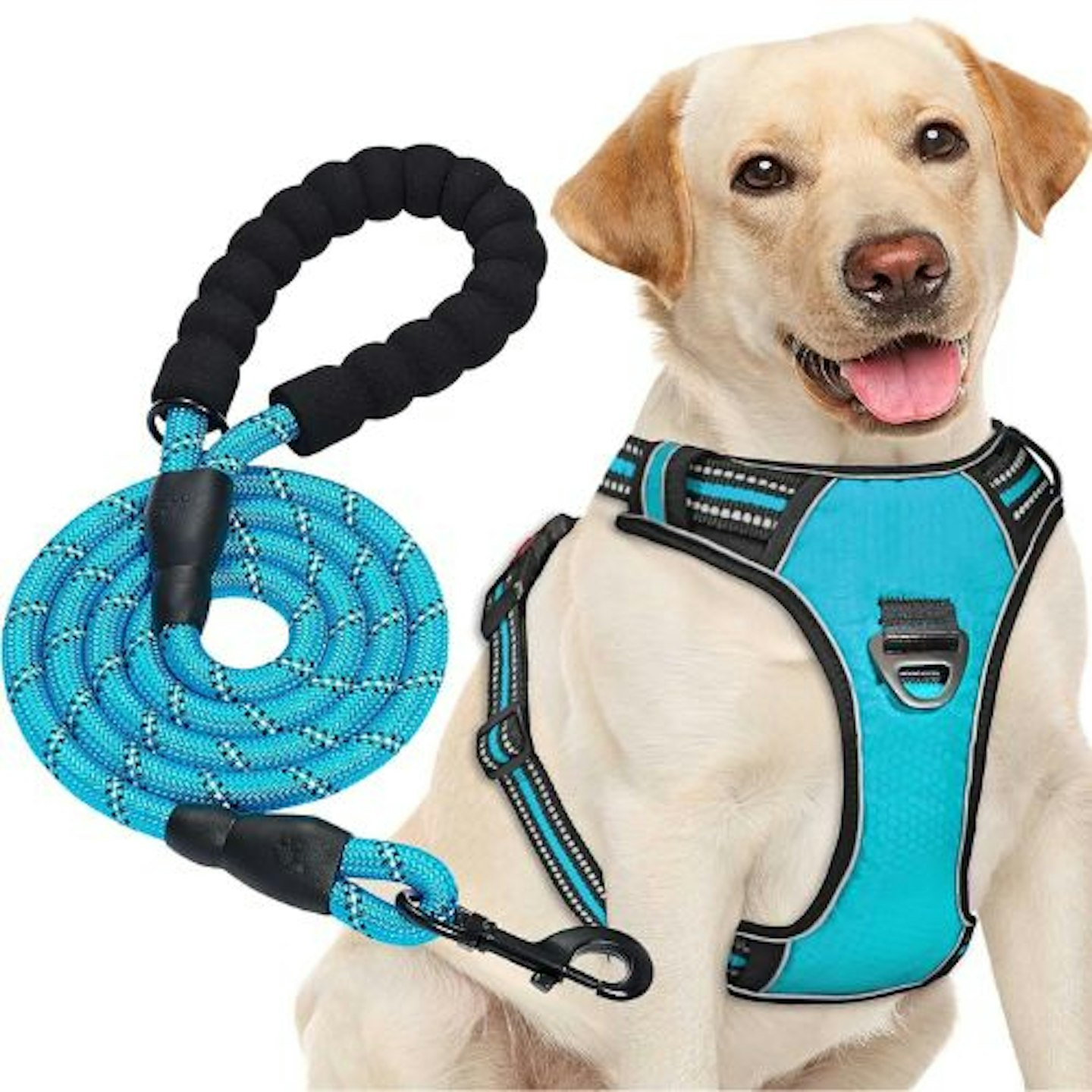 haapaw No Pull Dog Harness with Heavy Duty Dog Lead