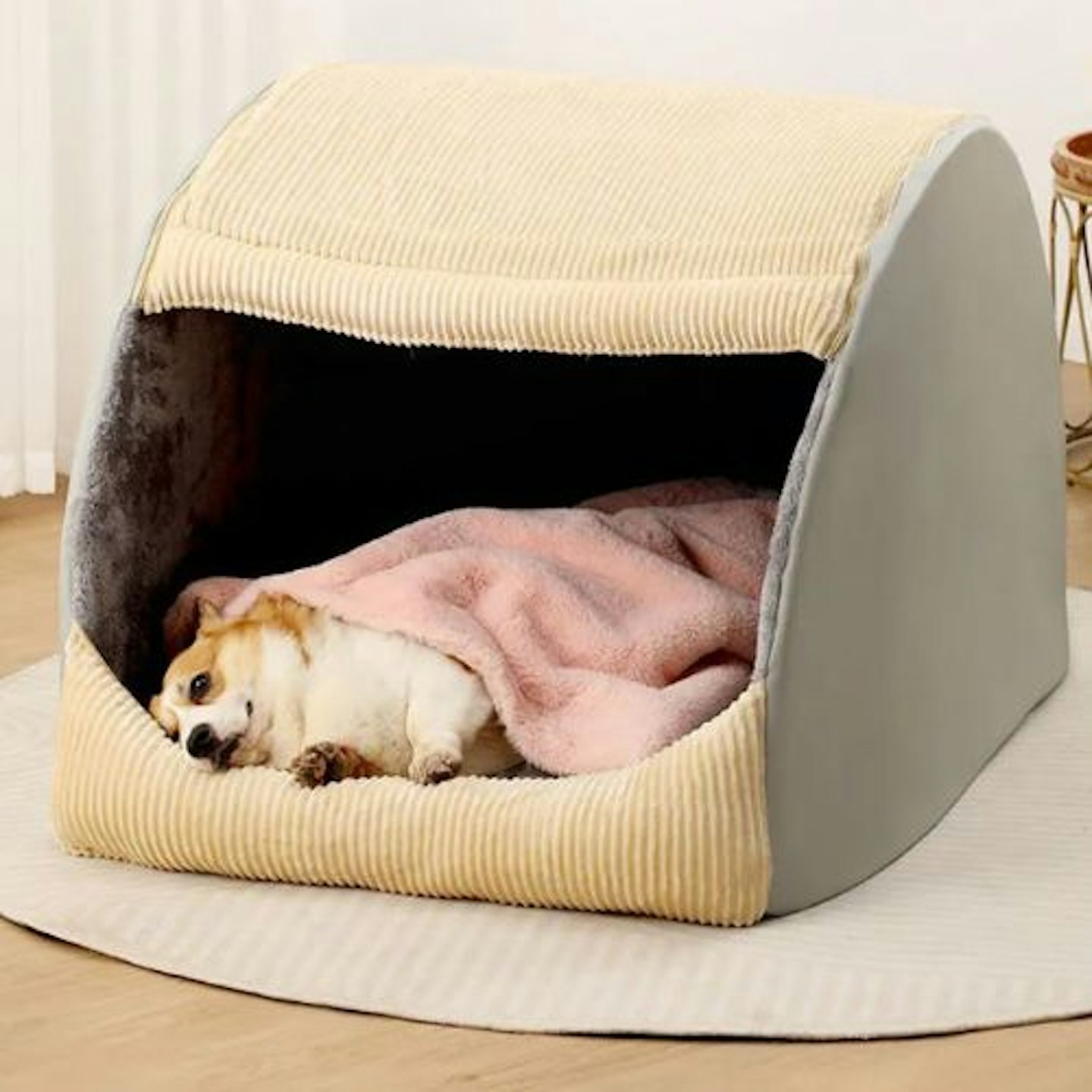 Funny Fuzzy Dog Tent Bed