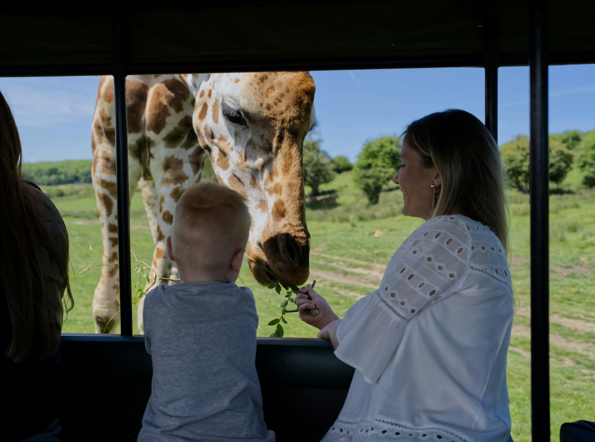 Port Lympne 20 best summer days out for families