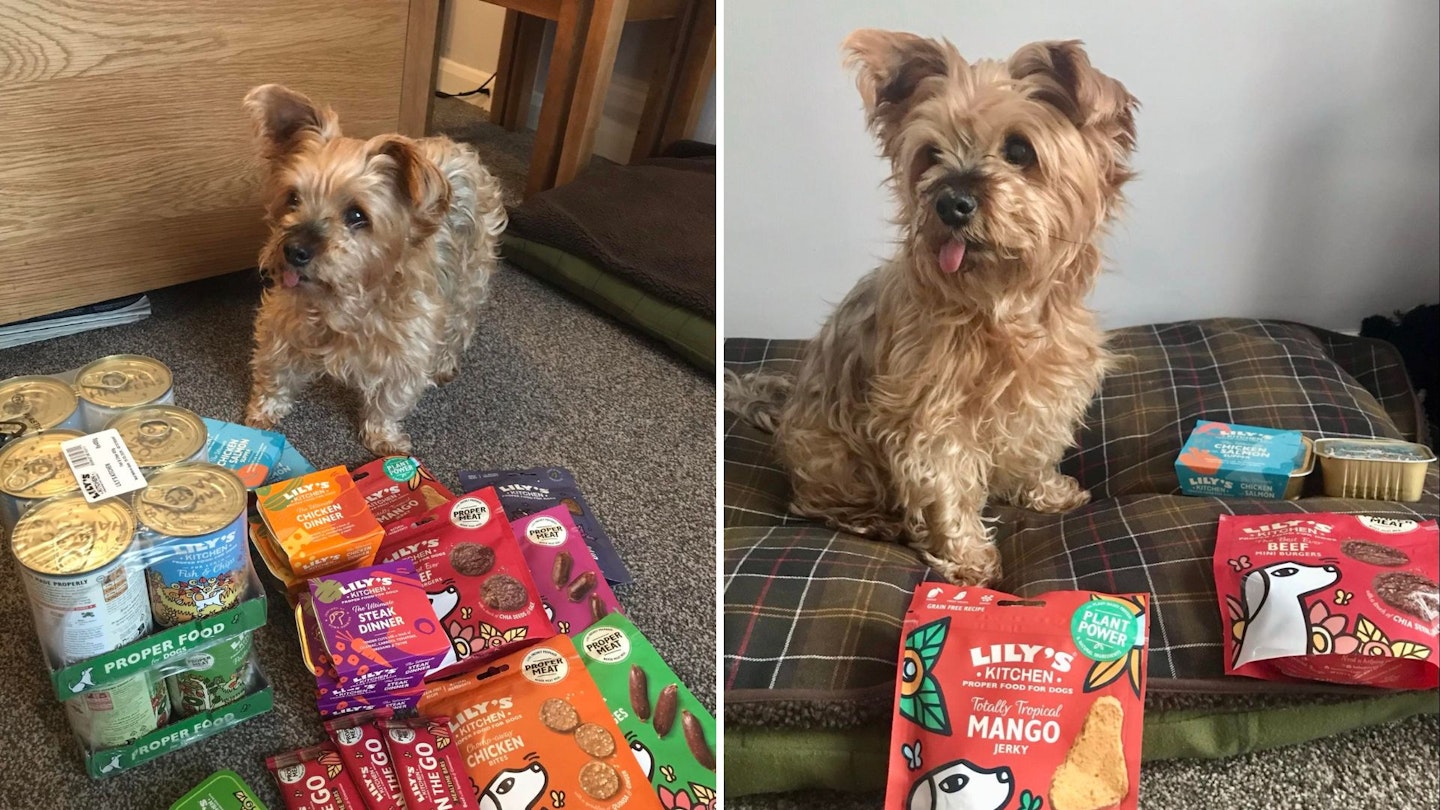 Lily's Kitchen dog food review