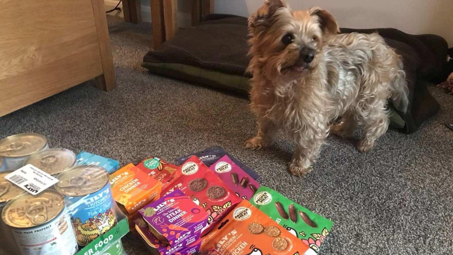 Lily's Kitchen Dog Food Review