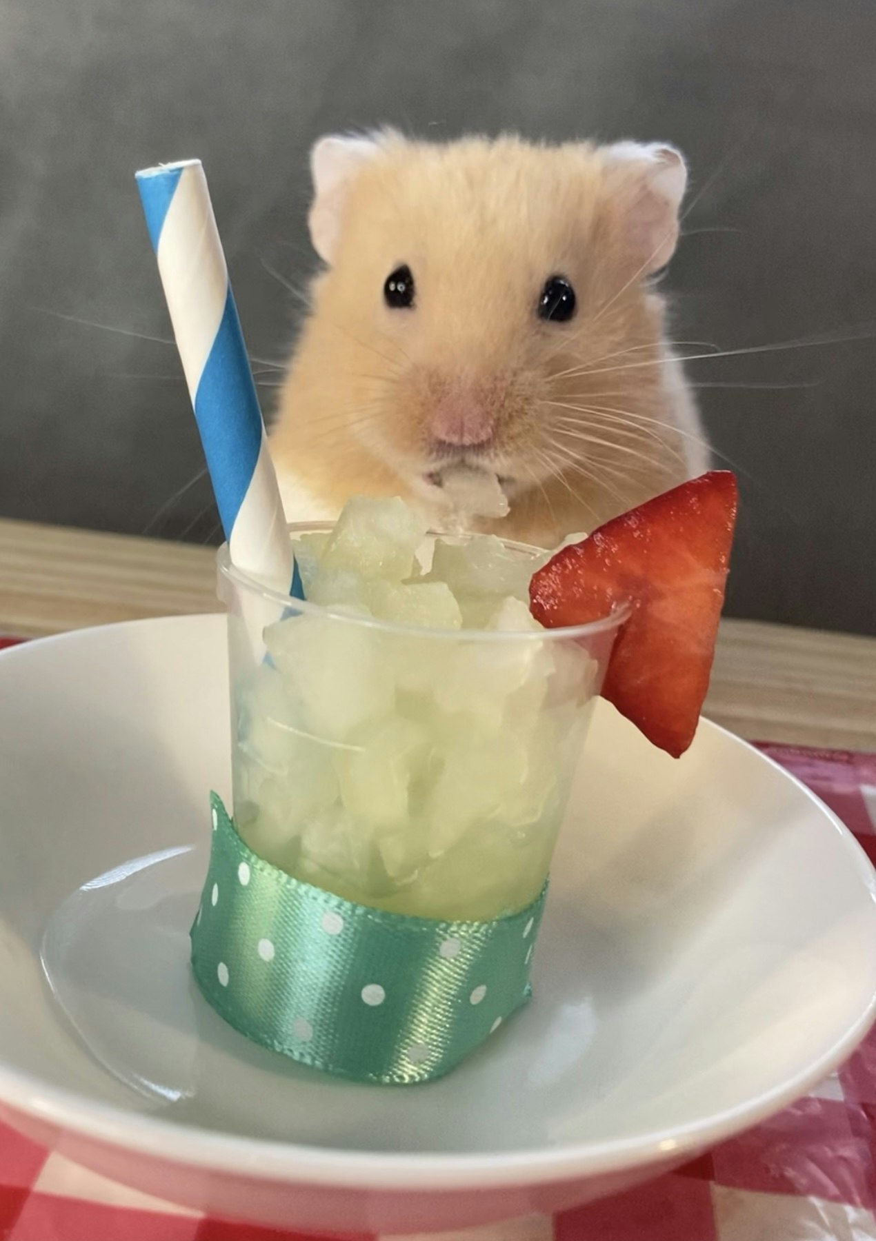 The very hungry hamster