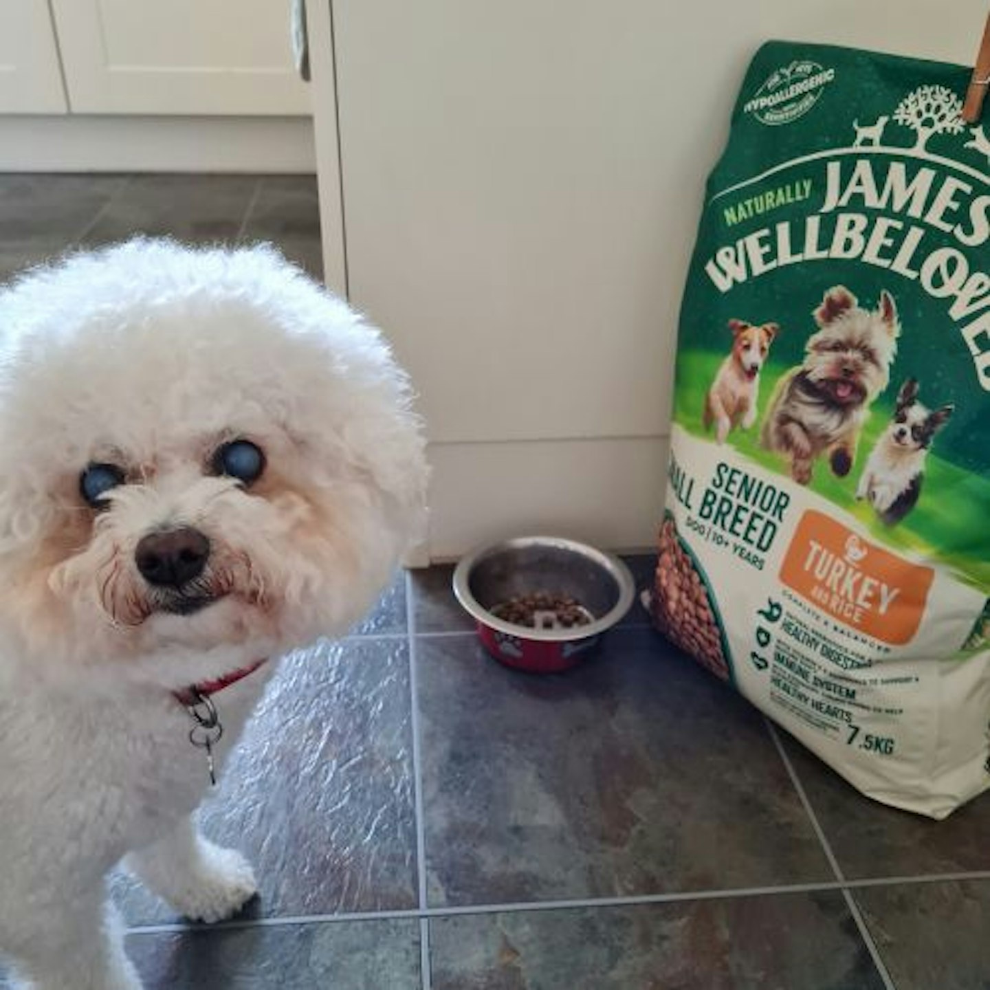 James Wellbeloved Dry Senior Small Breed