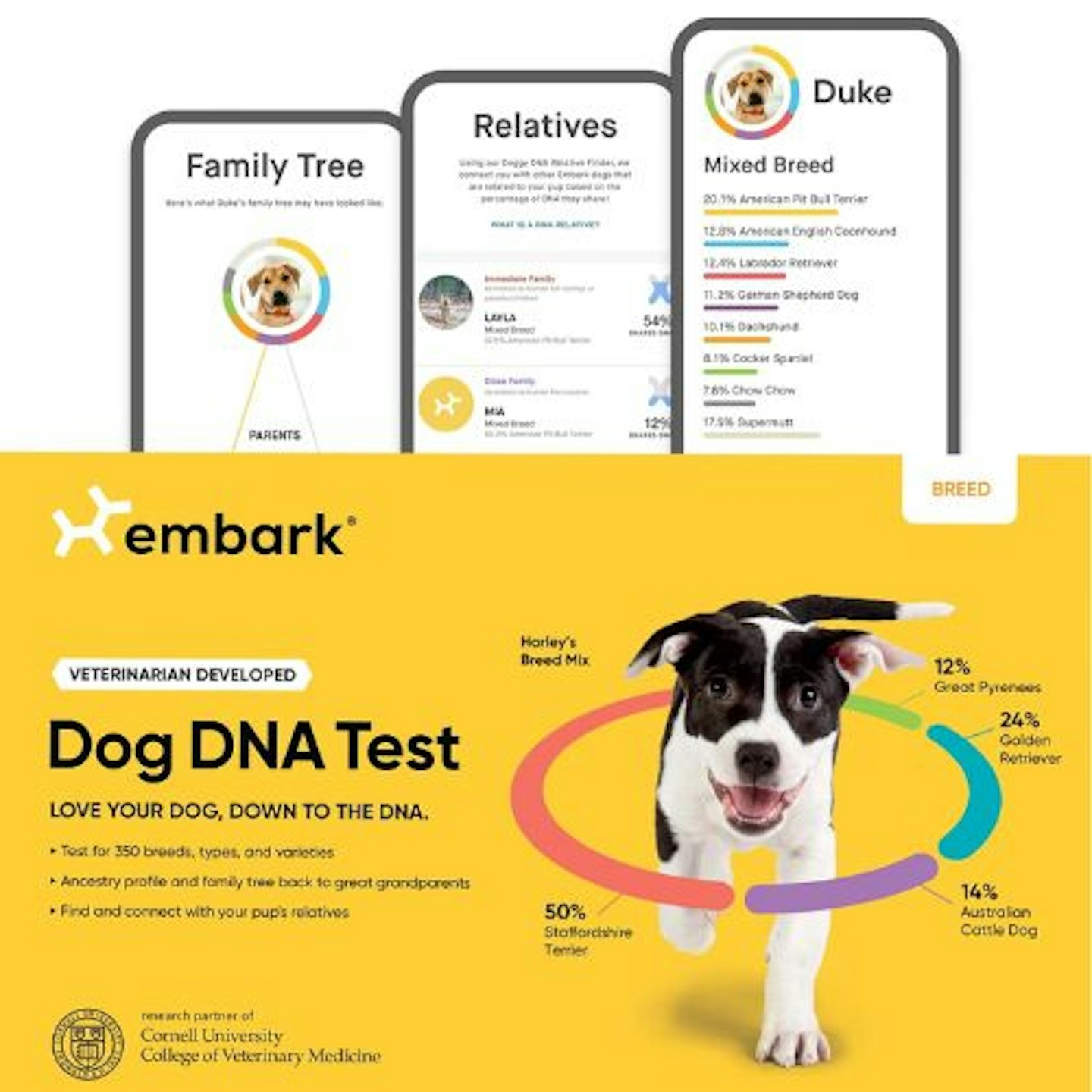 Embark Dog Test