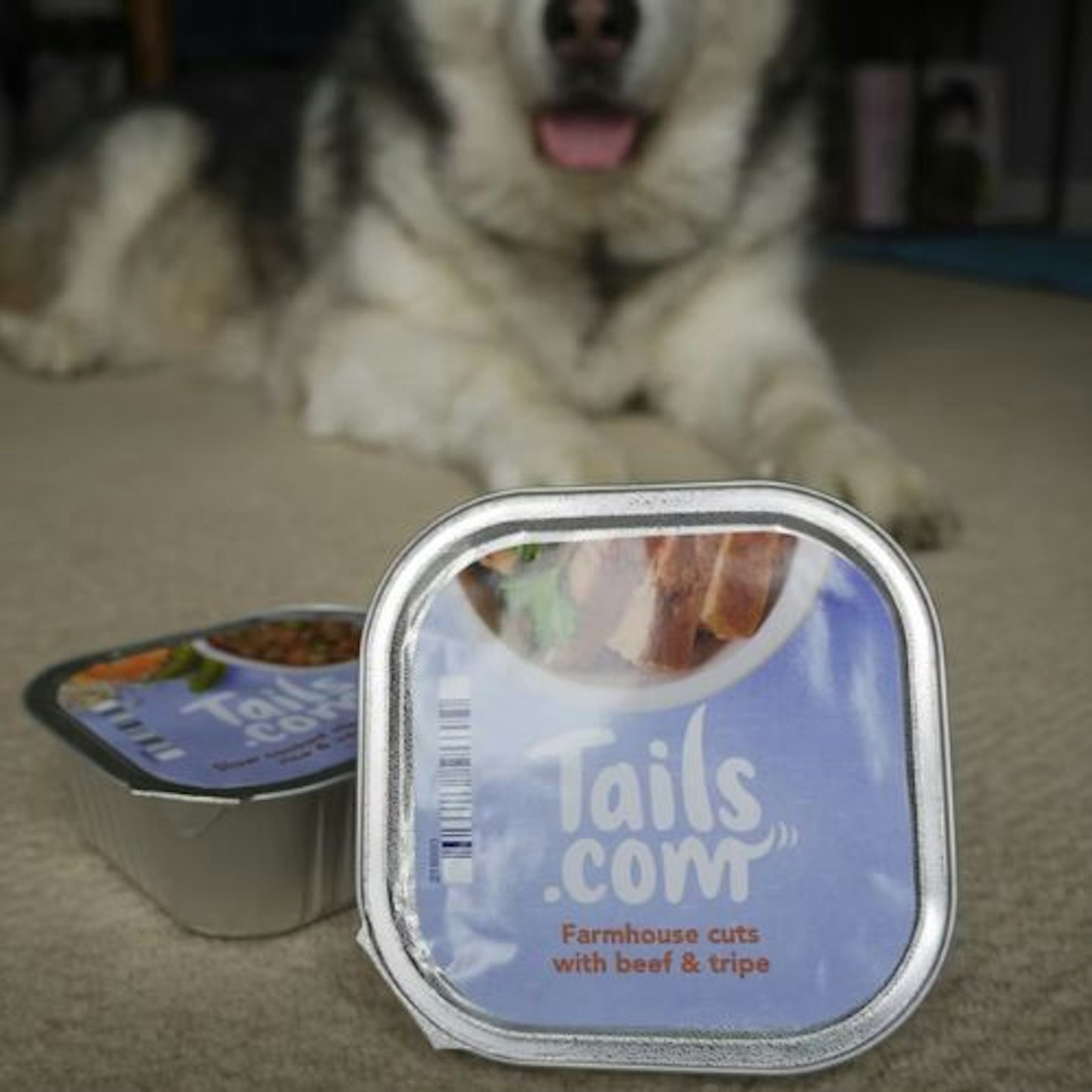 Tails.com