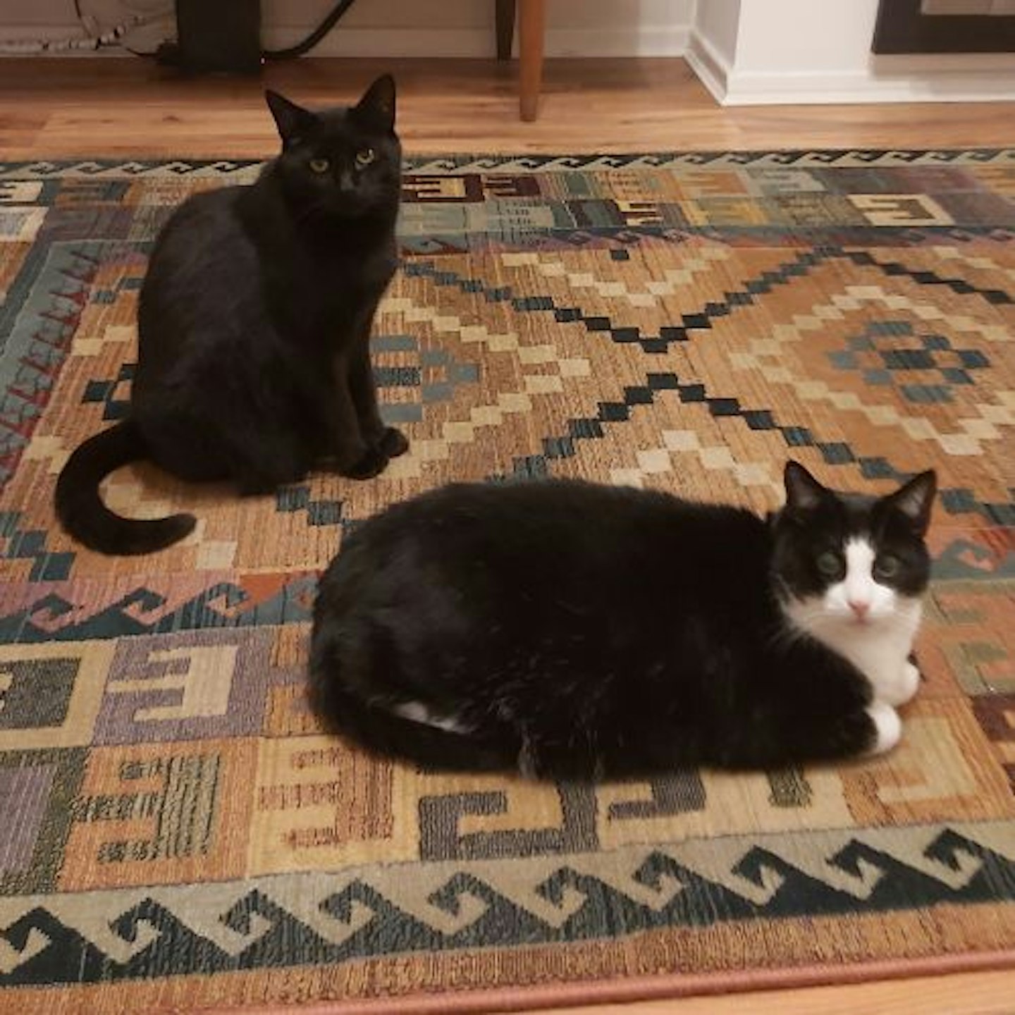 Horace & Orson