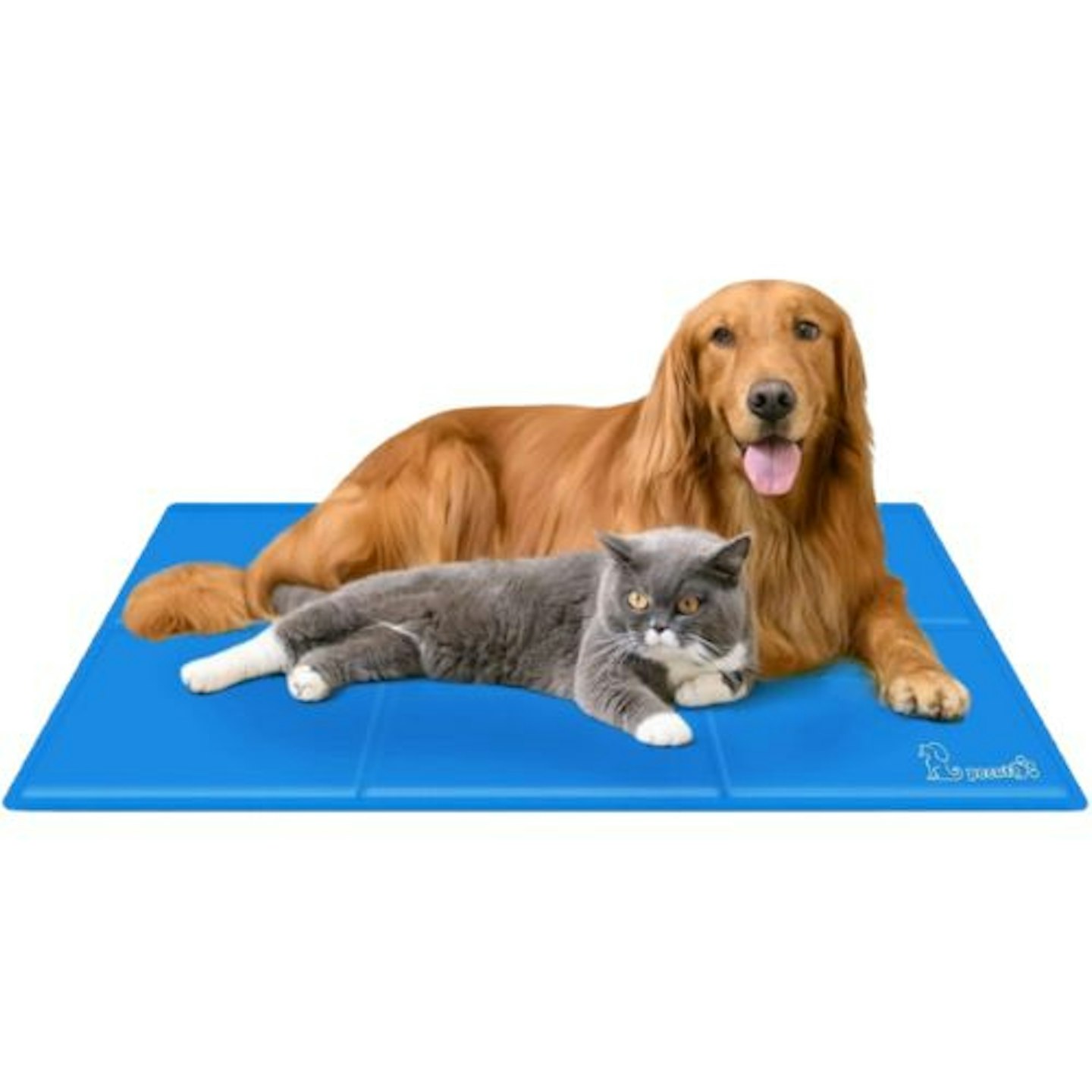 Pecute Pet Cooling Mat