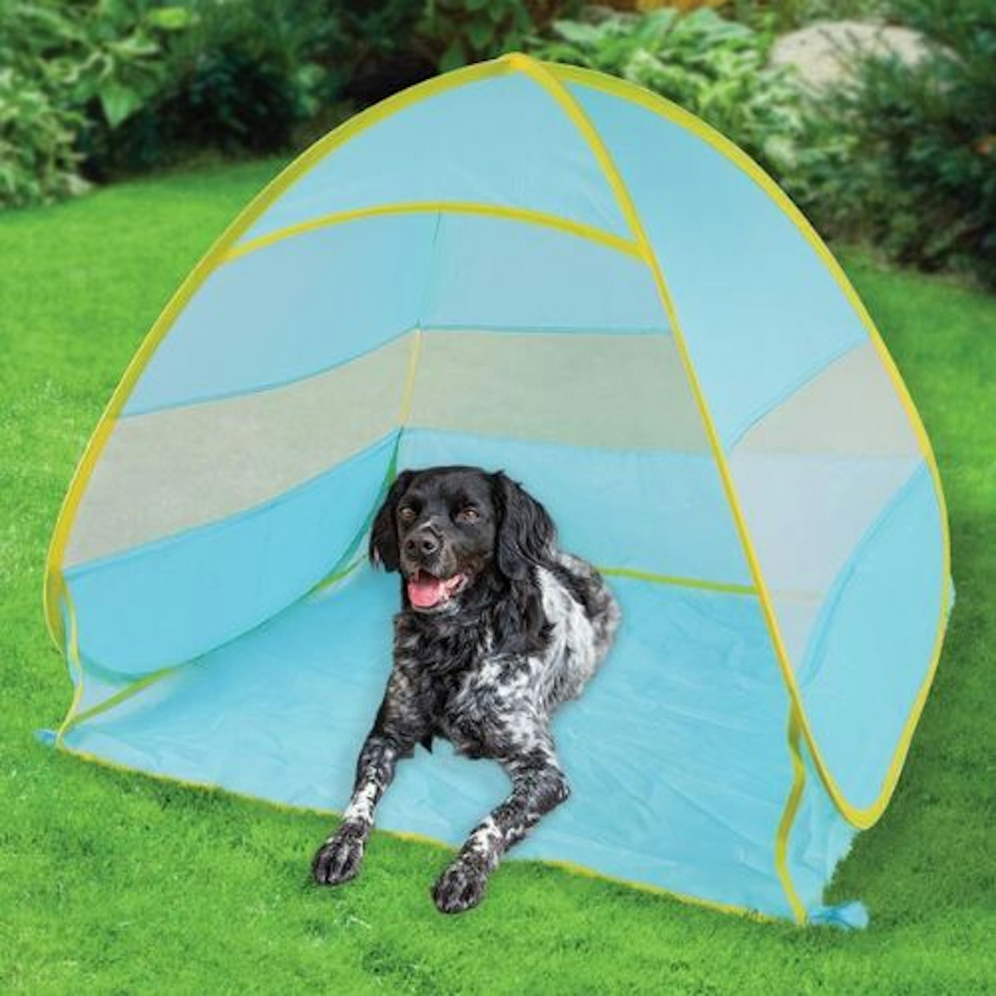 Pet Sun Shelter