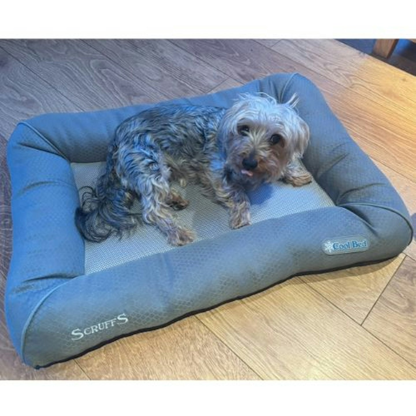 Scruffs Cool Bed tried and tested