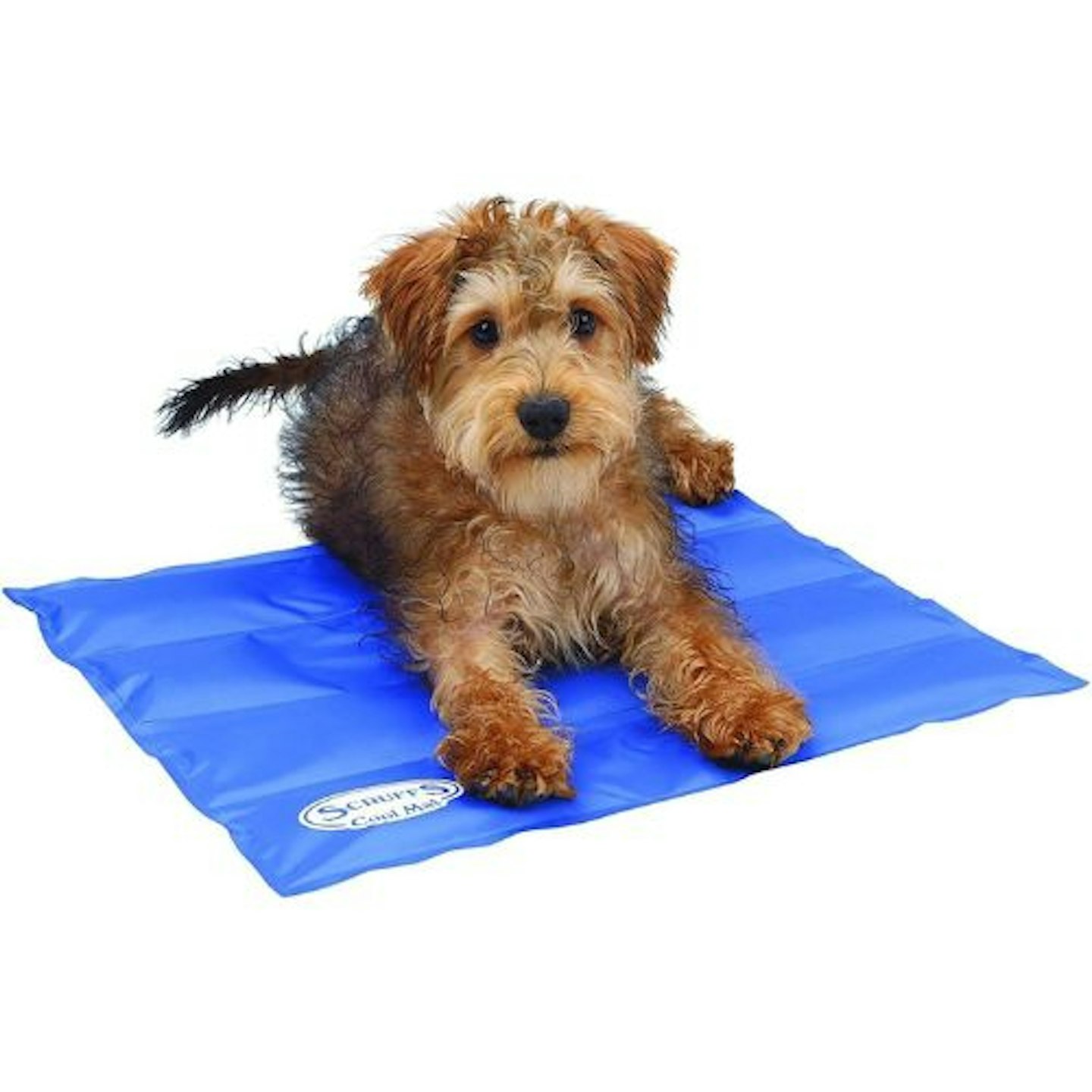 Scruffs Self-Cooling Mat