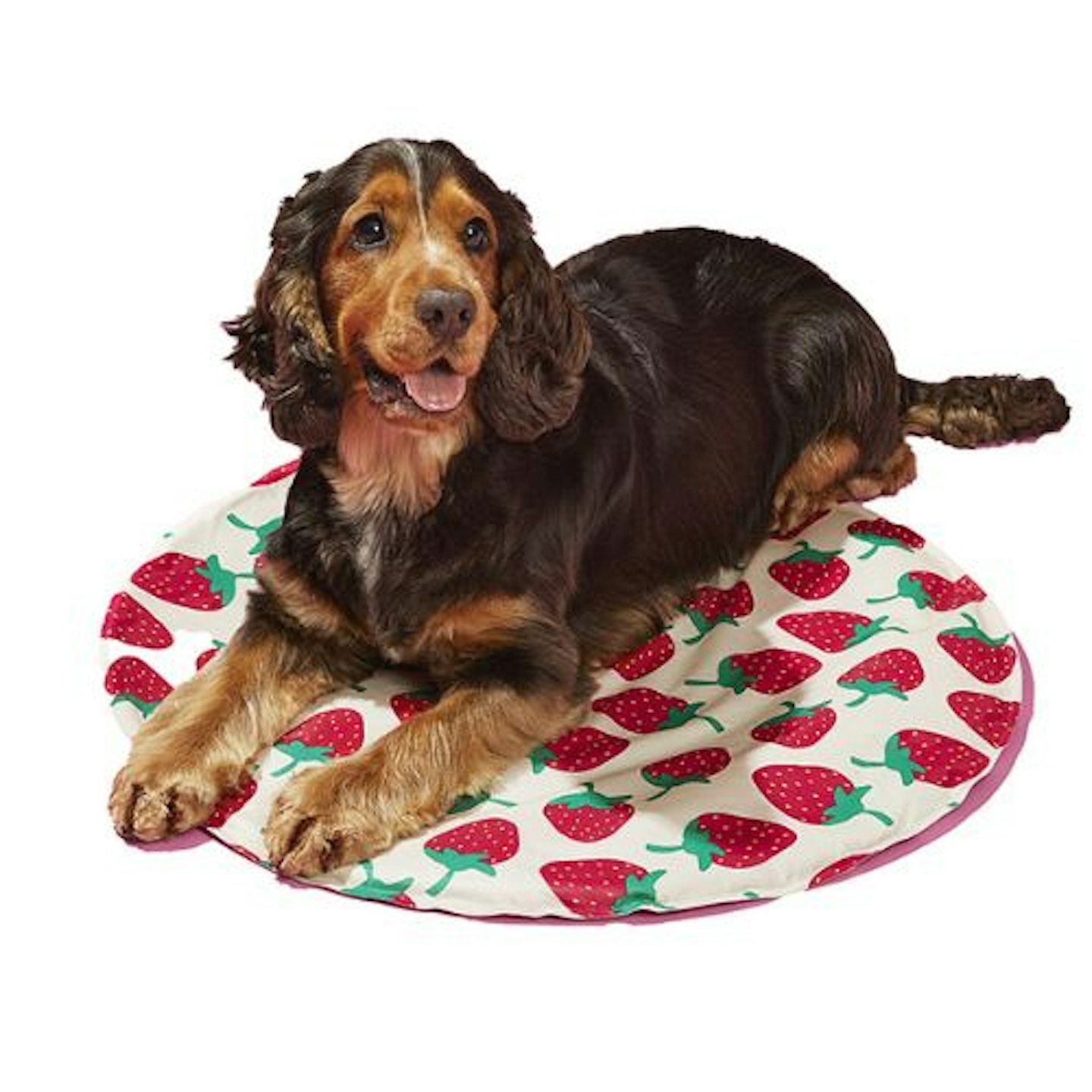 Sunny Daze Round Printed Cooling Mat for Dogs