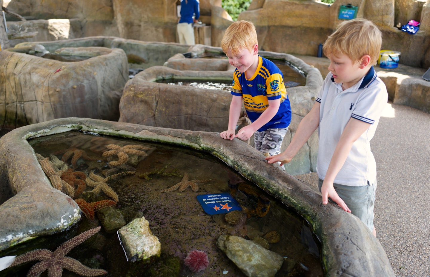 sea life weymouth five things to do with kids in weymouth