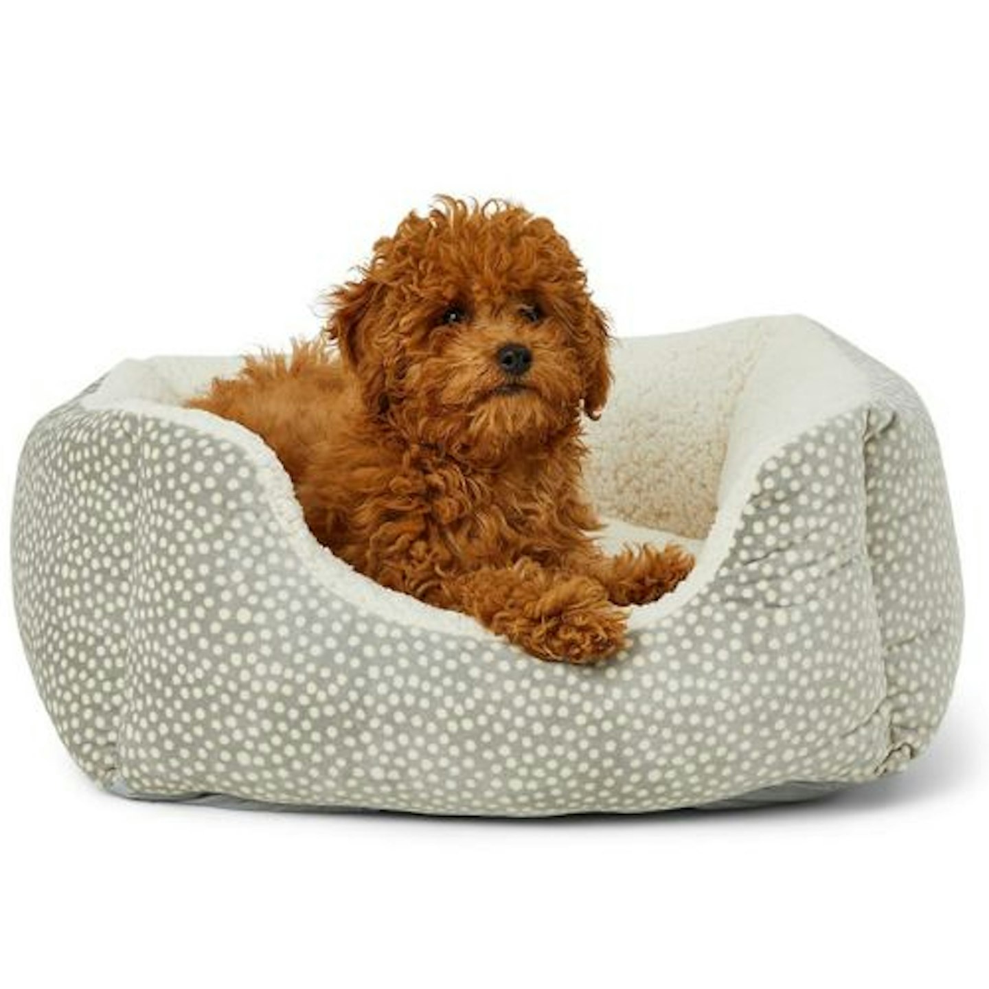 Pets at Home Spotty Square Puppy Bed