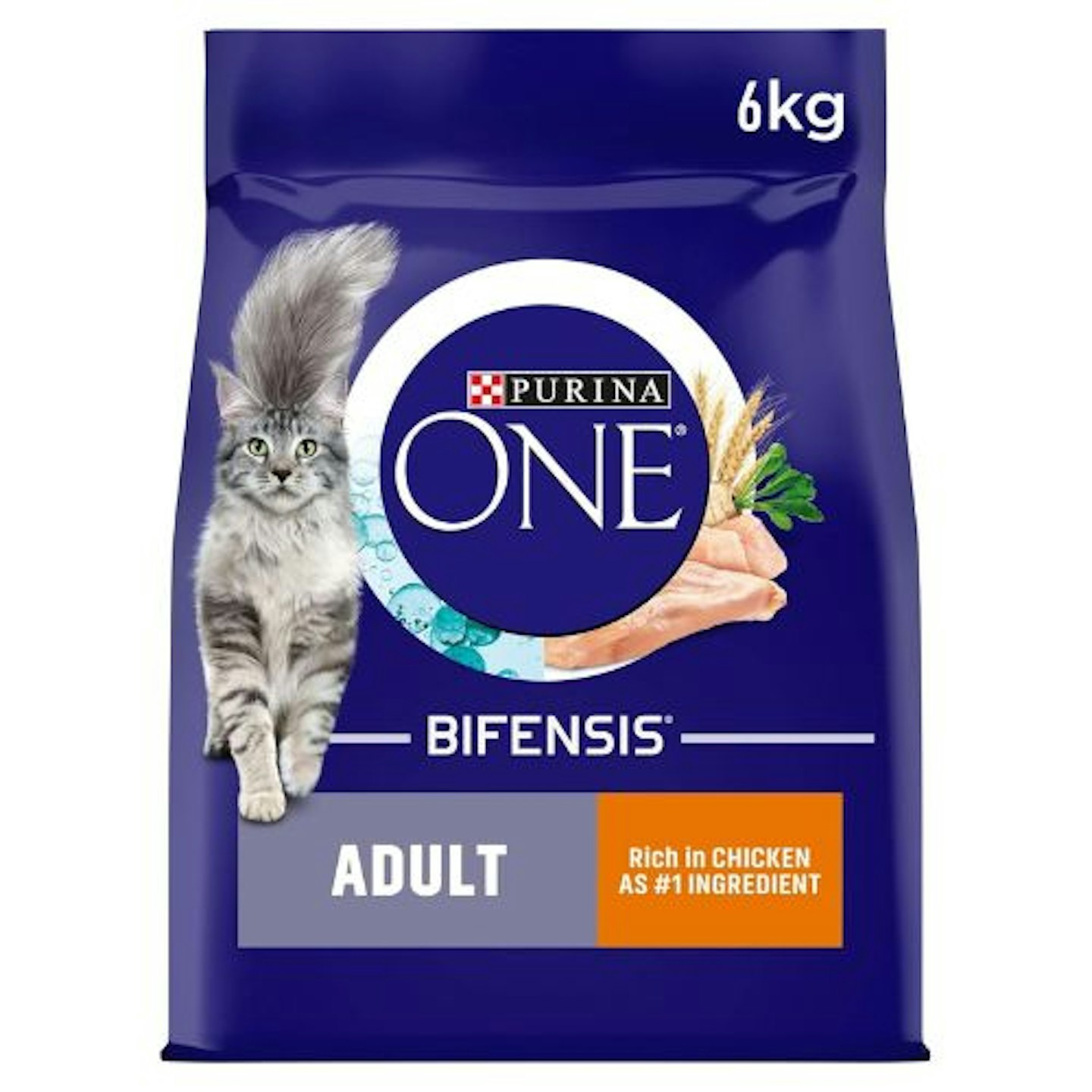 Purina ONE Adult Dry Cat Food Rich in Chicken 6kg