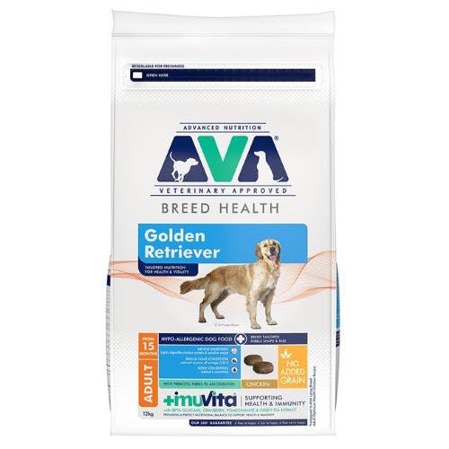 Best dog food for Golden Retrievers to keep them healthy