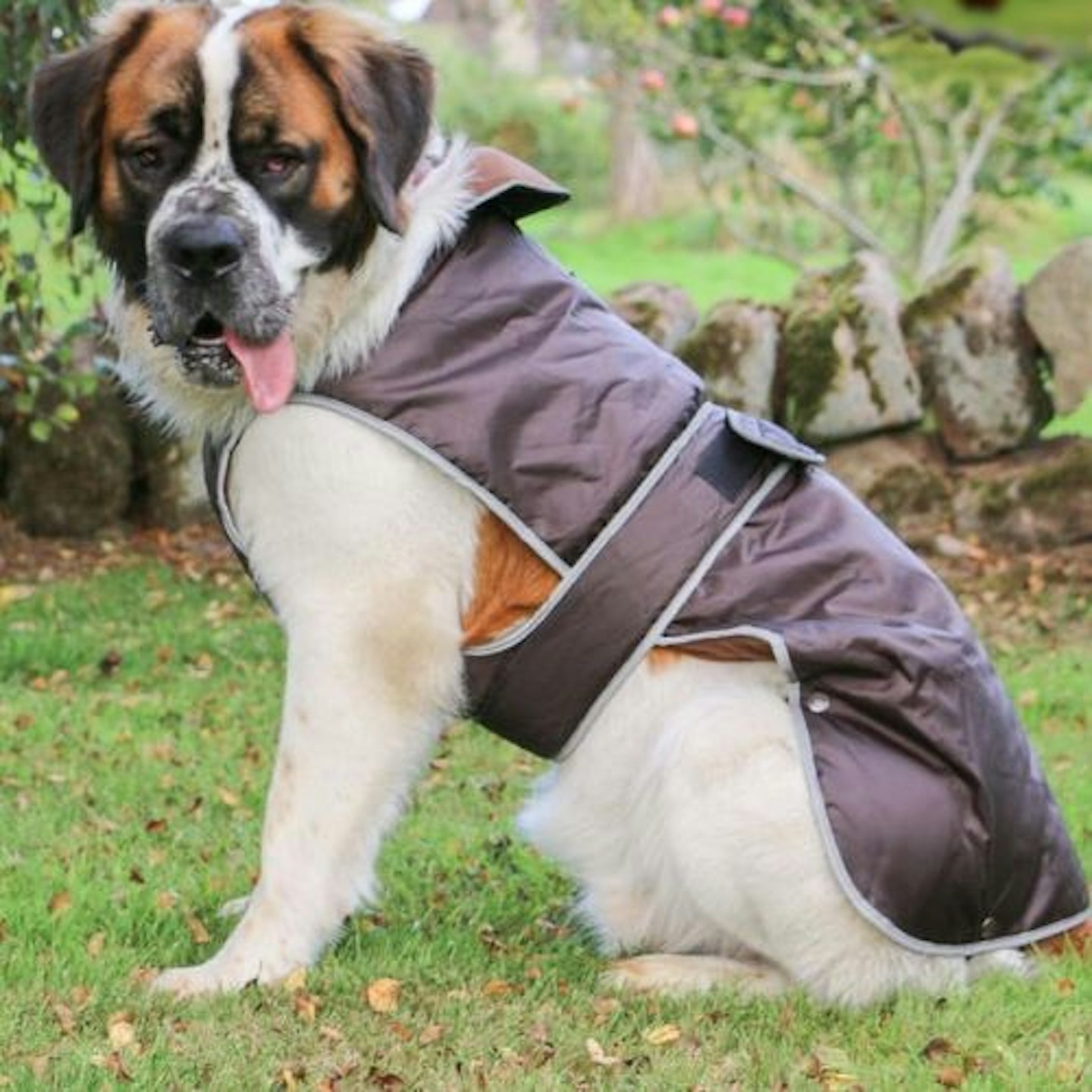 Ancol Stormguard Coat