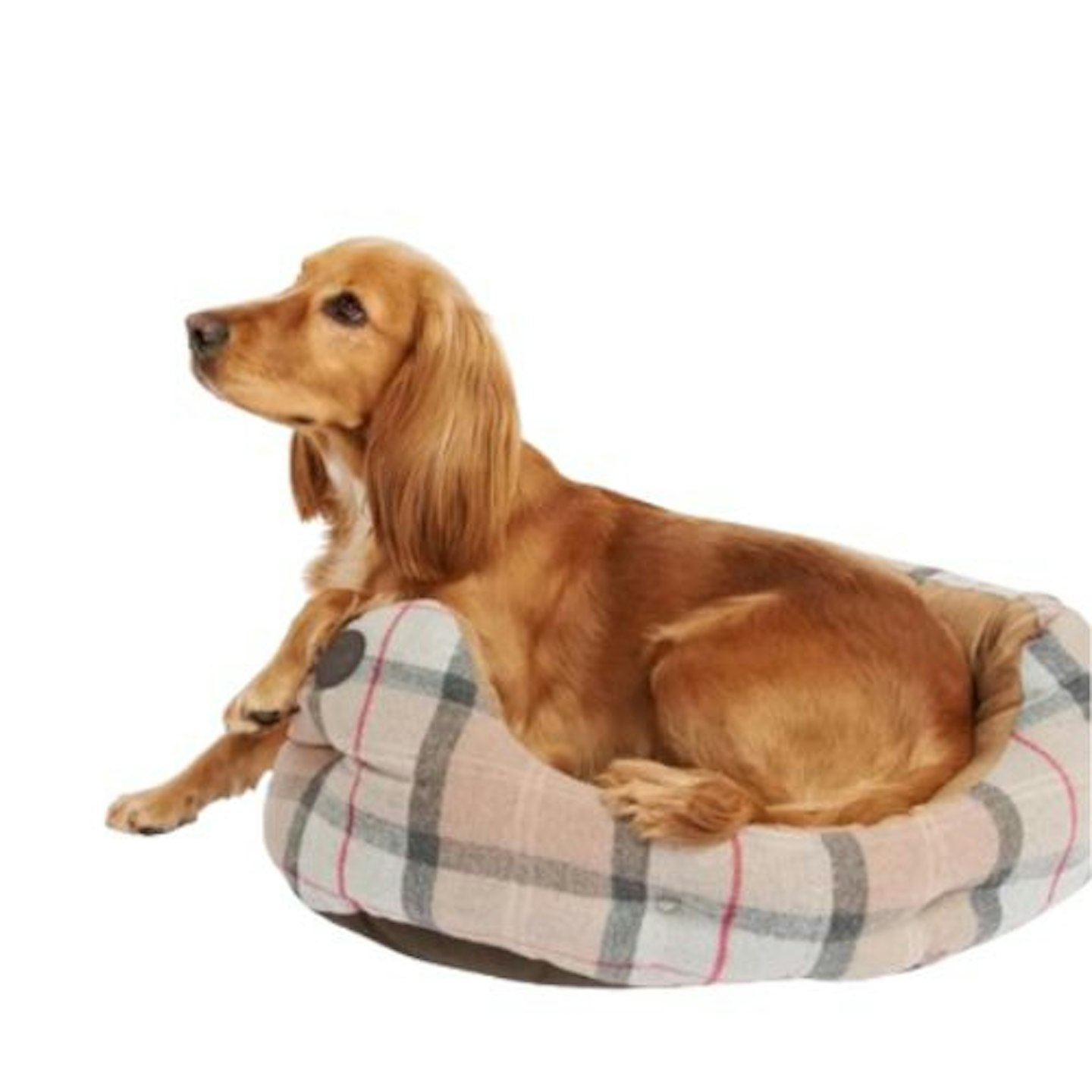 Barbour Pink Luxury Dog Bed