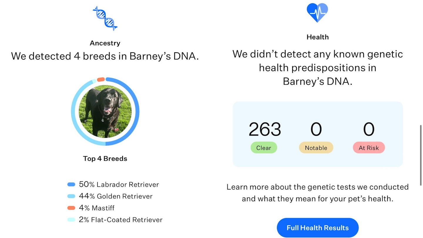 Barney's DNA results from Wisdom Panel Premium dog DNA test